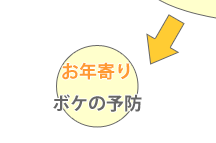 N {P̗\h